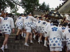 䑳V{